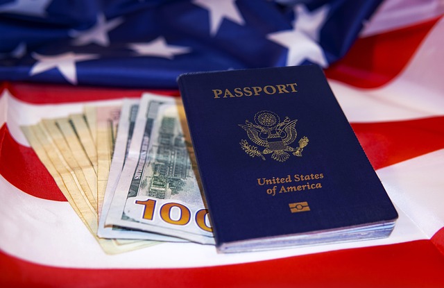 Best Countries for Skilled Professionals in 2025 - LJ Visa Point Blog